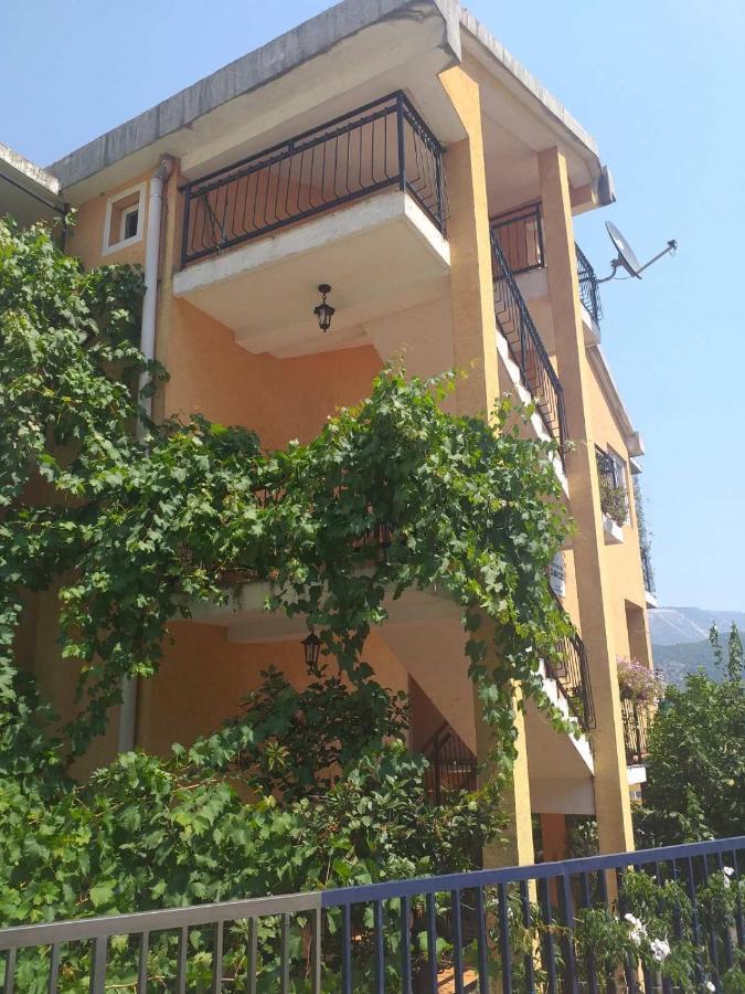 Guesthouse Djacic Μπούντβα Εξωτερικό φωτογραφία